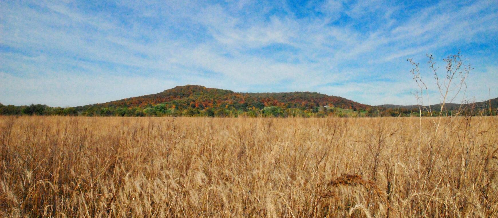 Ohio's Fall Color Could Get a Boost from Recent Rain